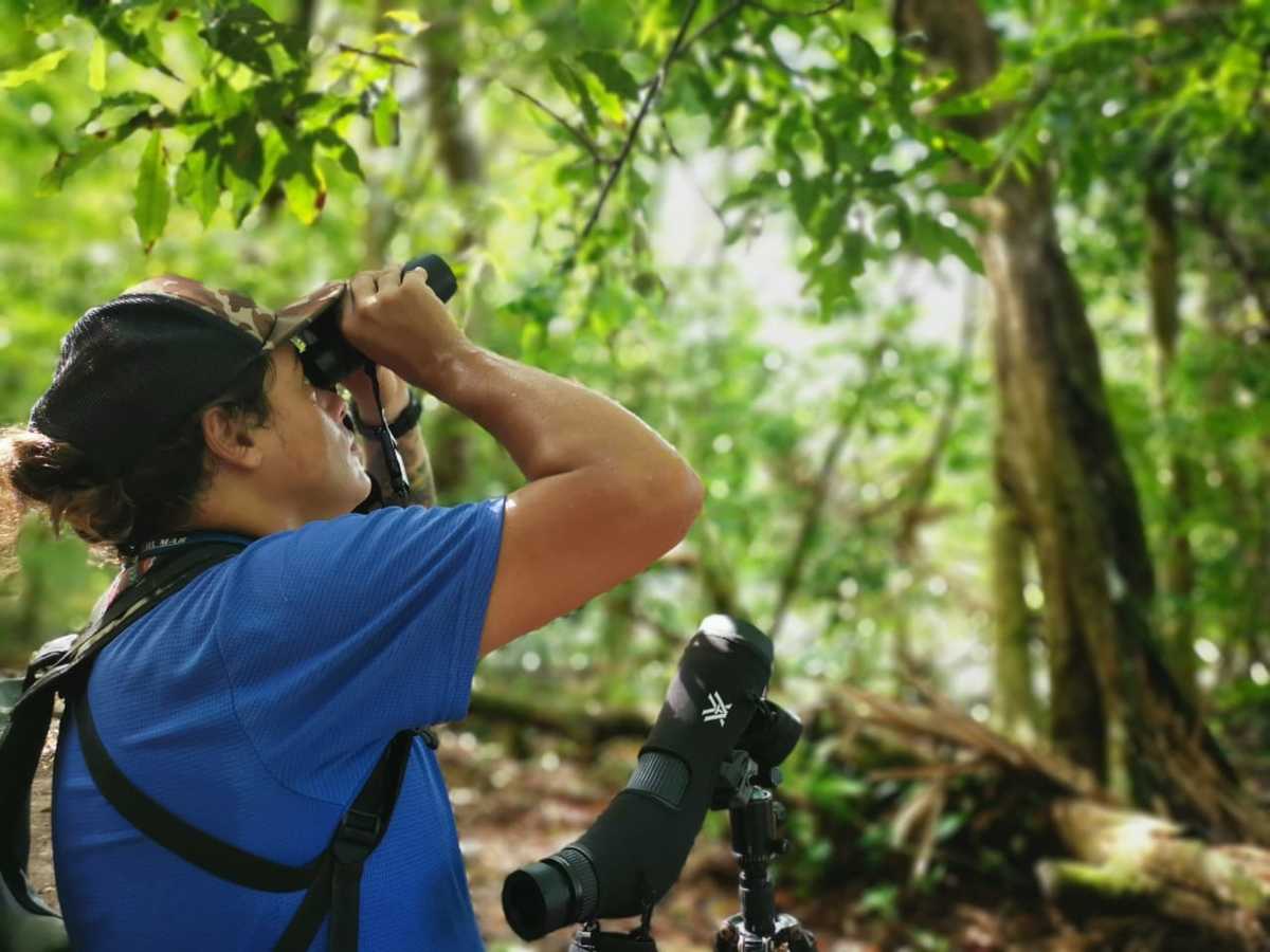 Corcovado Experience