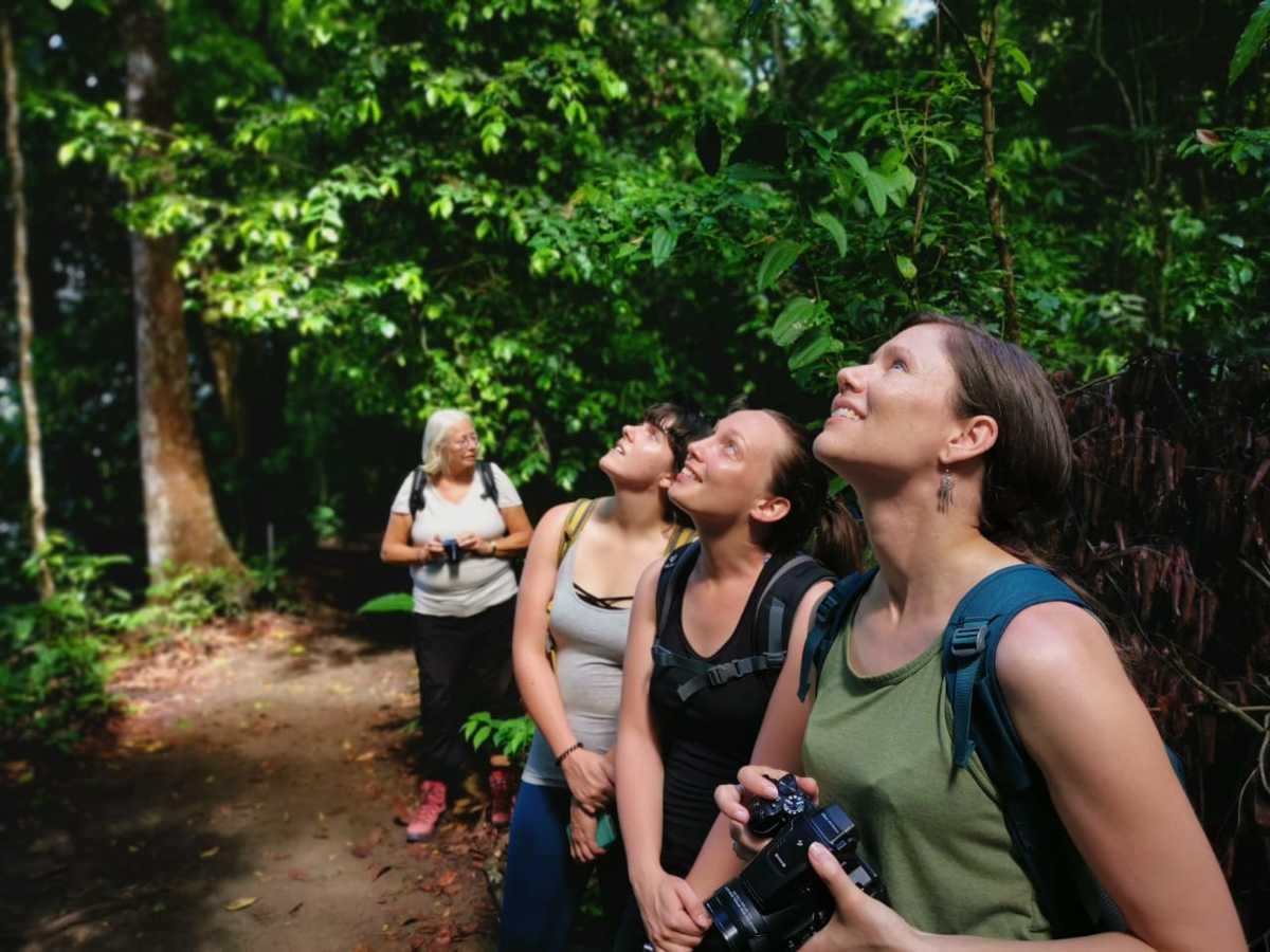 Corcovado Experience
