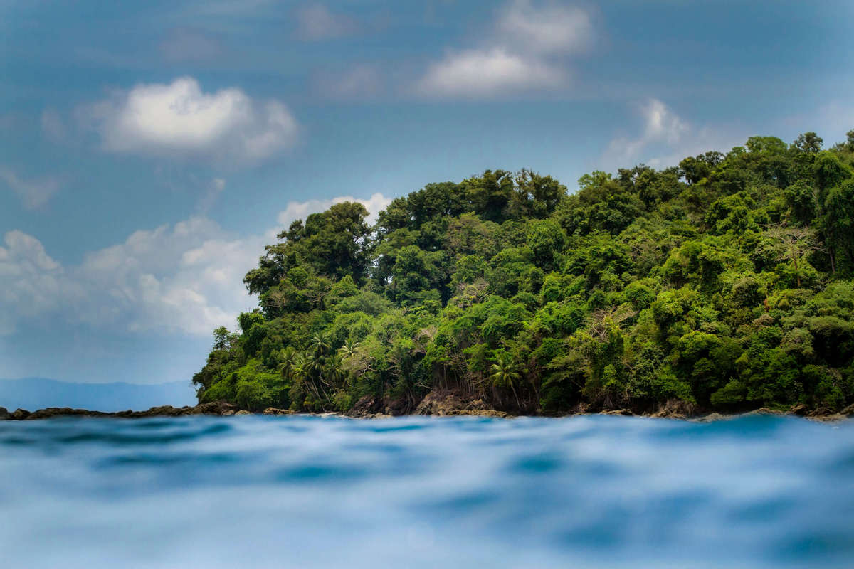 Corcovado Experience