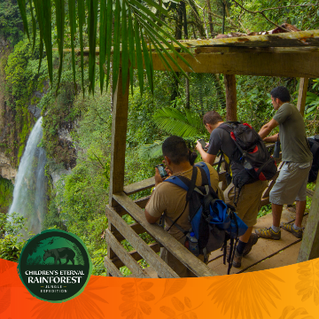 Children's Eternal Rainforest  Jungle Expedition