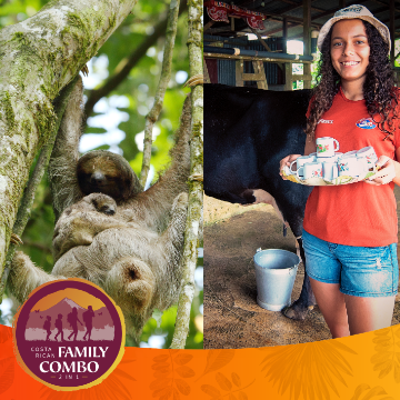 Combo for Families: Sloth Watching, Campesino Tour, Typical Lunch.