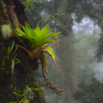 Wanderung im Juan Castro Blanco National Park