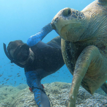 Caño Island Snorkeling