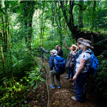Monteverde Cloud Forest Reserve Hike