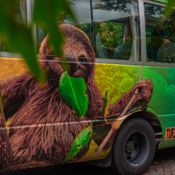 Shuttle von La Fortuna nach Conchal/Flamingo/Potrero