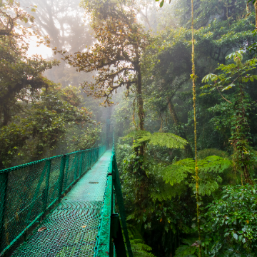 Shuttle von Monteverde nach Jacó