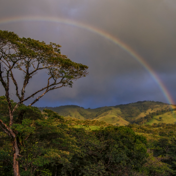Shuttle von Manuel Antonio nach Monteverde