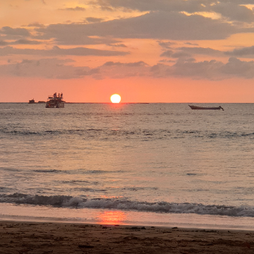 Shuttle von Monteverde nach Tamarindo