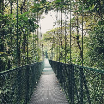 Shuttle von Monteverde nach Montezuma/Tambor