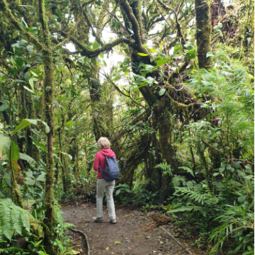 Shuttle von San José nach Monteverde