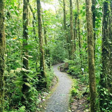 Shuttle from Jacó to Monteverde