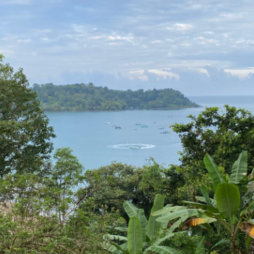 Shuttle von Manuel Antonio nach Sierpe