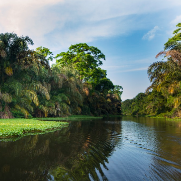 Shuttle von La Fortuna nach Tortuguero