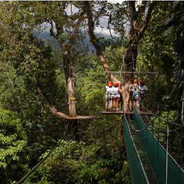 Shuttle von Conchal/Flamingo/Potrero nach Monteverde
