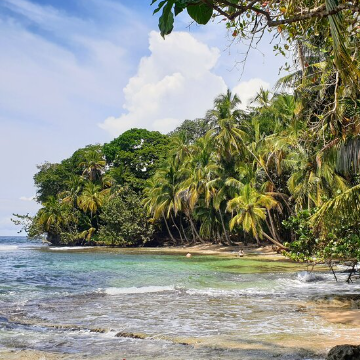 Shuttle von Guápiles nach Puerto Viejo/Manzanillo