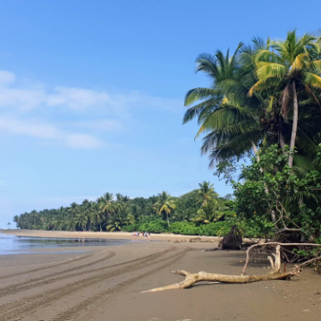 Shuttle von Tamarindo nach Uvita