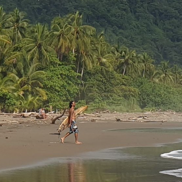 Shuttle von Jacó nach Dominical