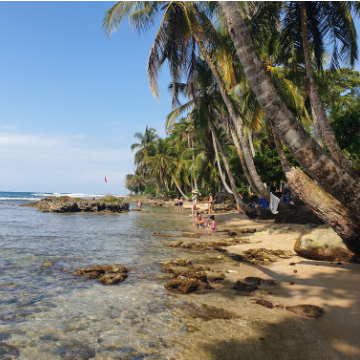 Shuttle von Bocas del Toro nach Puerto Viejo