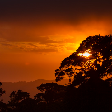 Shuttle von Sámara nach Monteverde