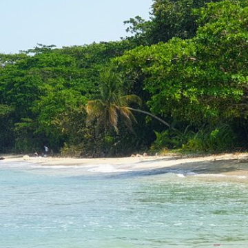 Shuttle von Tortuguero nach Cahuita