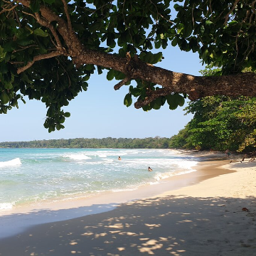 Shuttle von Guápiles nach Cahuita