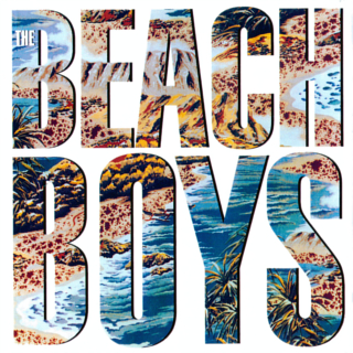 The Beach Boys Album Cover