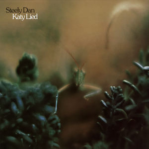 Katy Lied Album Cover