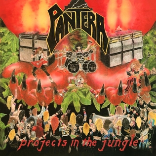 Projects in the Jungle Album Cover