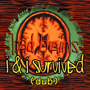 I & I Survived Album Cover
