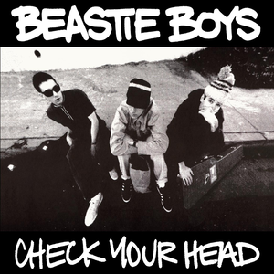 Check Your Head Album Cover