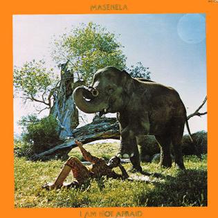 I Am Not Afraid Album Cover