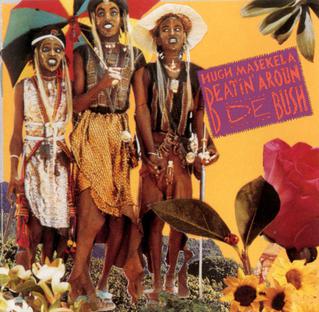 Beatin' Aroun de Bush Album Cover