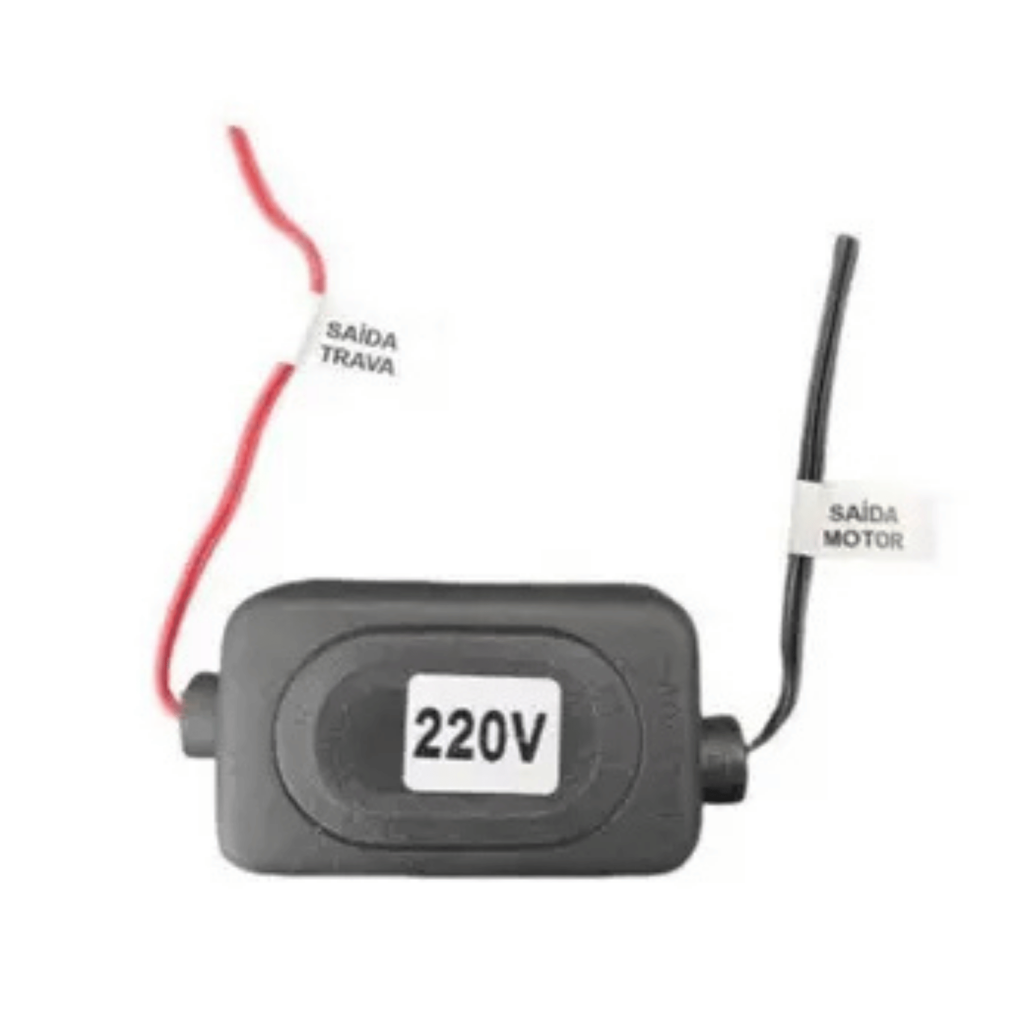 Módulo Temporizador Para Trava Eletromagnética 220V 1007003 AGL