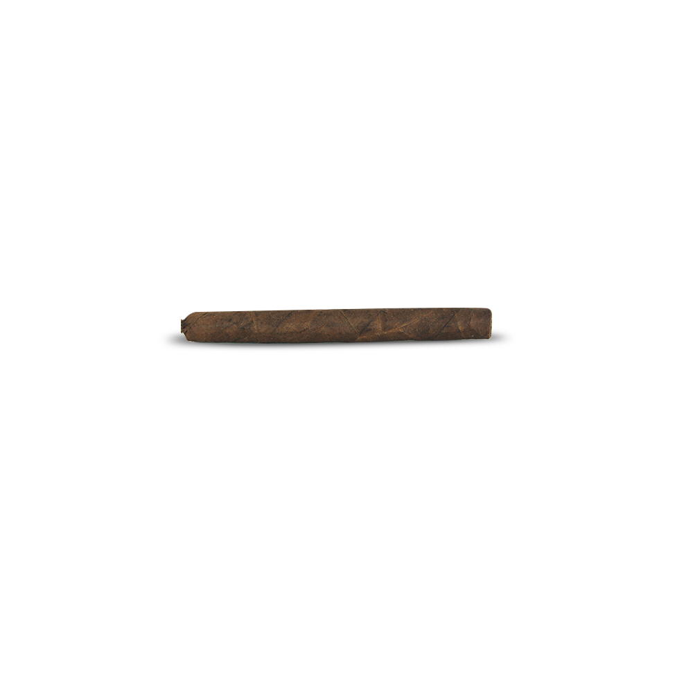 Cigarrilha Los 3 Catedráticos Chiquitos (Petaca c/10)