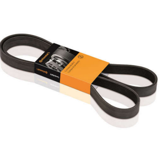 Correia Poly-V Continental Duster Logan Audi 50PK112 