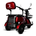 TRICICLO ELETRICO 650W 48V/20AH - RAPHYNUS - Imagem 1