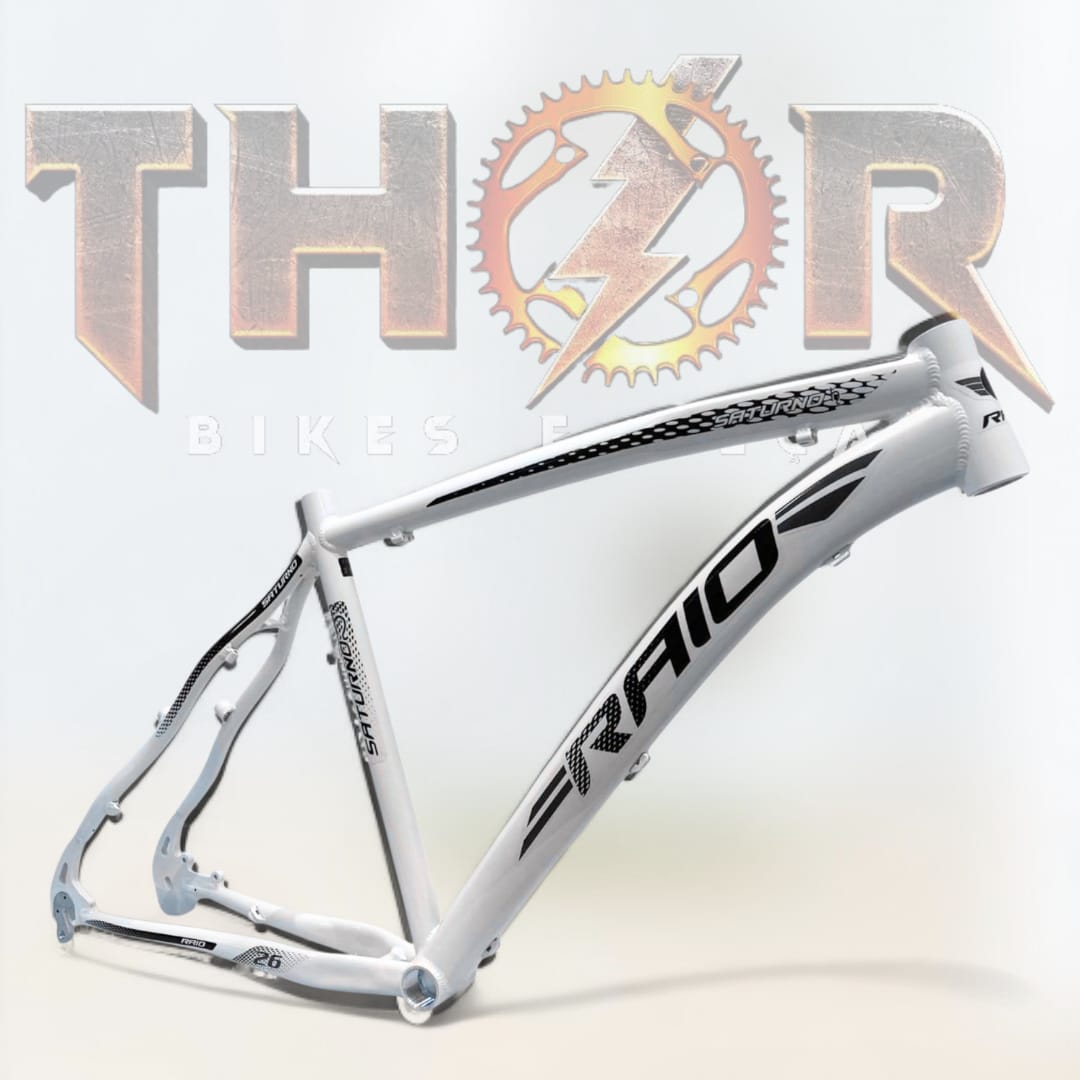 QUADRO 26 ALUM RAIO SATURNO TAM 17 - Imagem 4