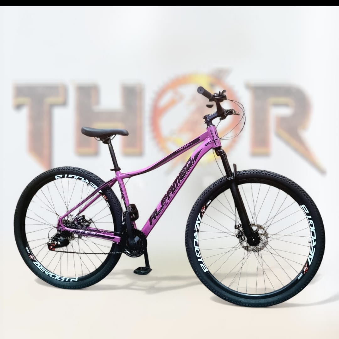 BICICLETA 29 MTB FEMININA C/ 21V - ALFAMEQ