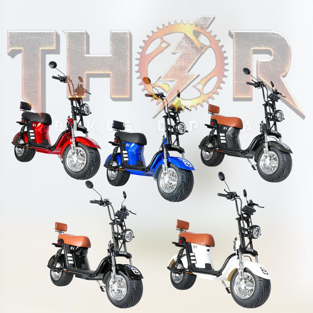 BICICLETA ELETRICA AUTOPROPELIDA HE-6 ECOVIVA