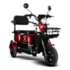 TRICICLO ELETRICO 650W 48V/20AH - RAPHYNUS - Imagem 2