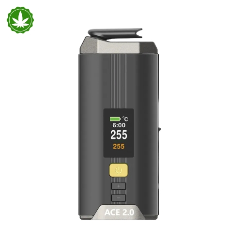 Vaporizador de Ervas XMax Ace 2 - XVape