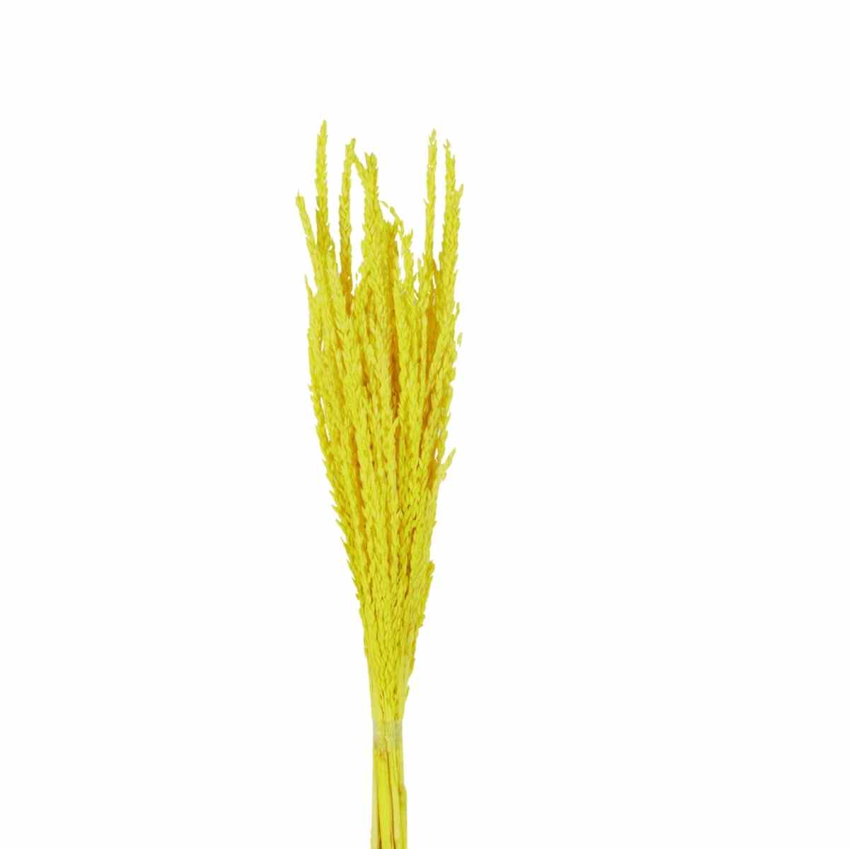 Planta Seca Flor de Milho Amarelo 60 cm