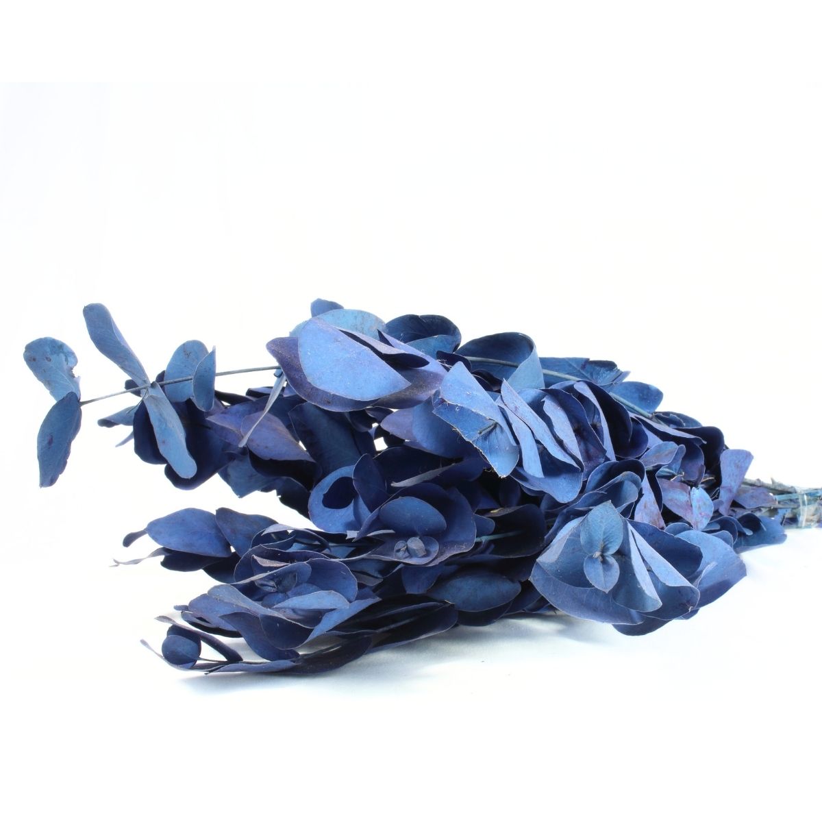 Planta Seca Eucalipto Colorido Azul 50cm