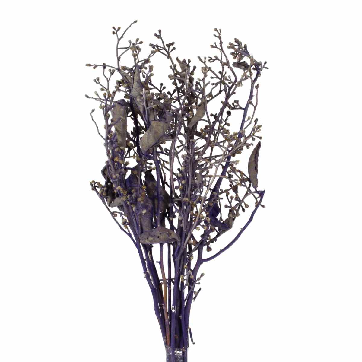 Dedo De Anjo Lilas Flor Desidratada Buque Flores Secas