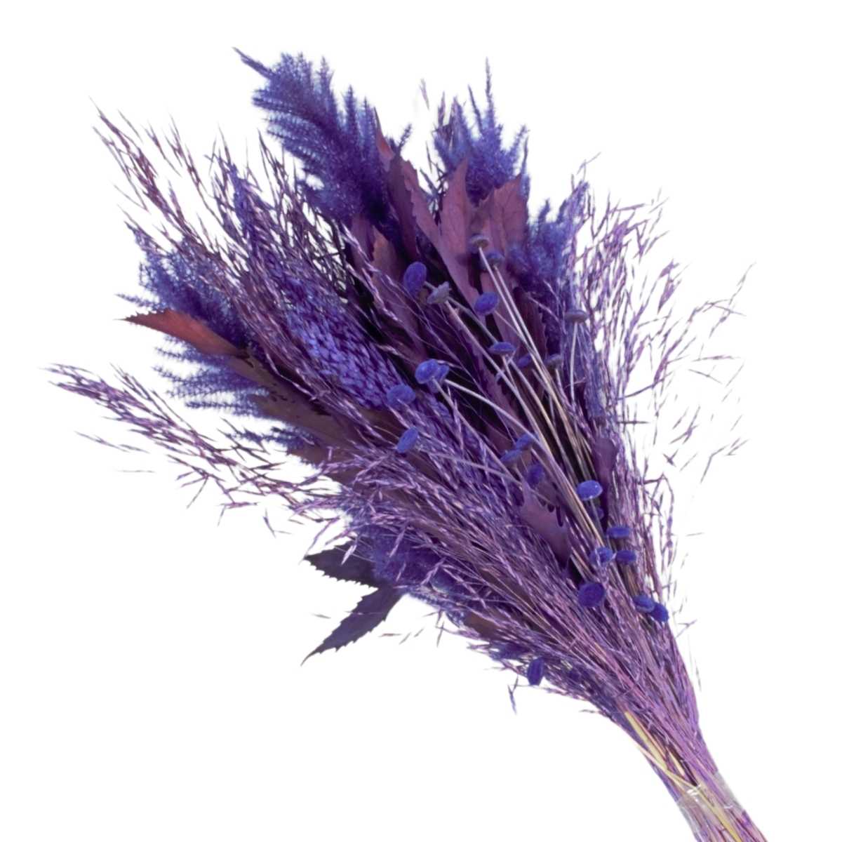 Planta Seca Buquê Blueberry 60 cm