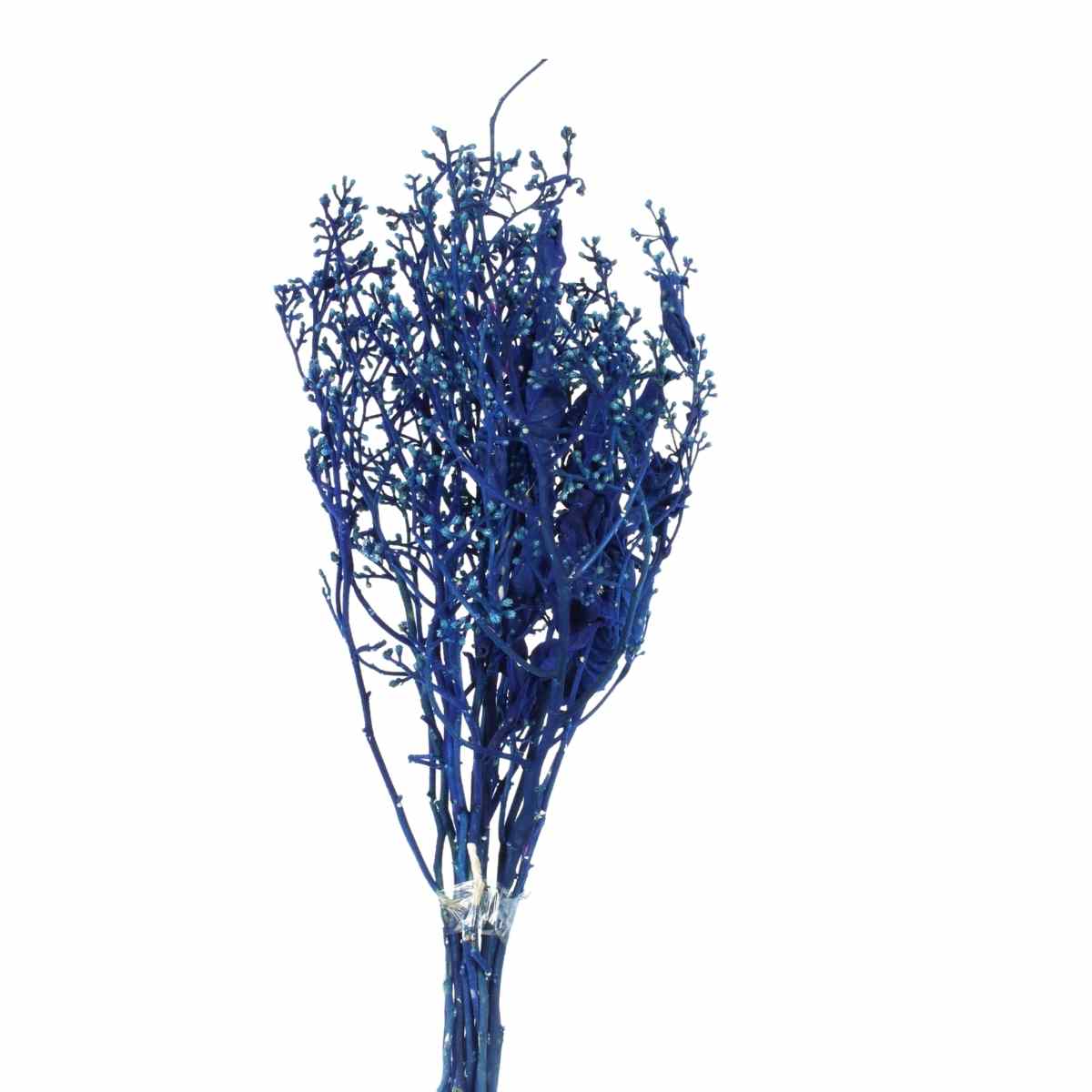 Dedo De Anjo Azul Flor Desidratada Buque Flores Secas