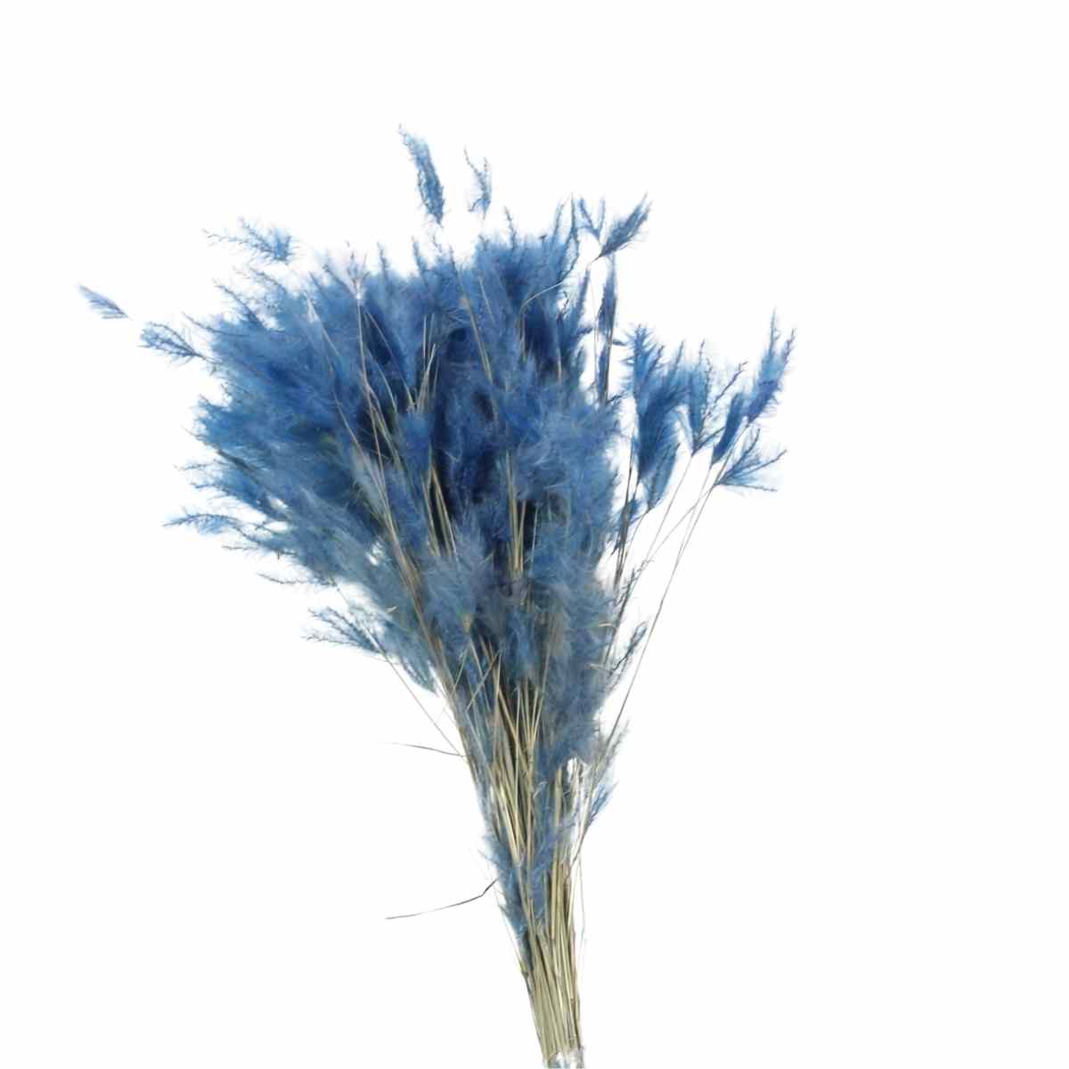 Pluminha Azul Flor Desidratada Buque Flores Secas