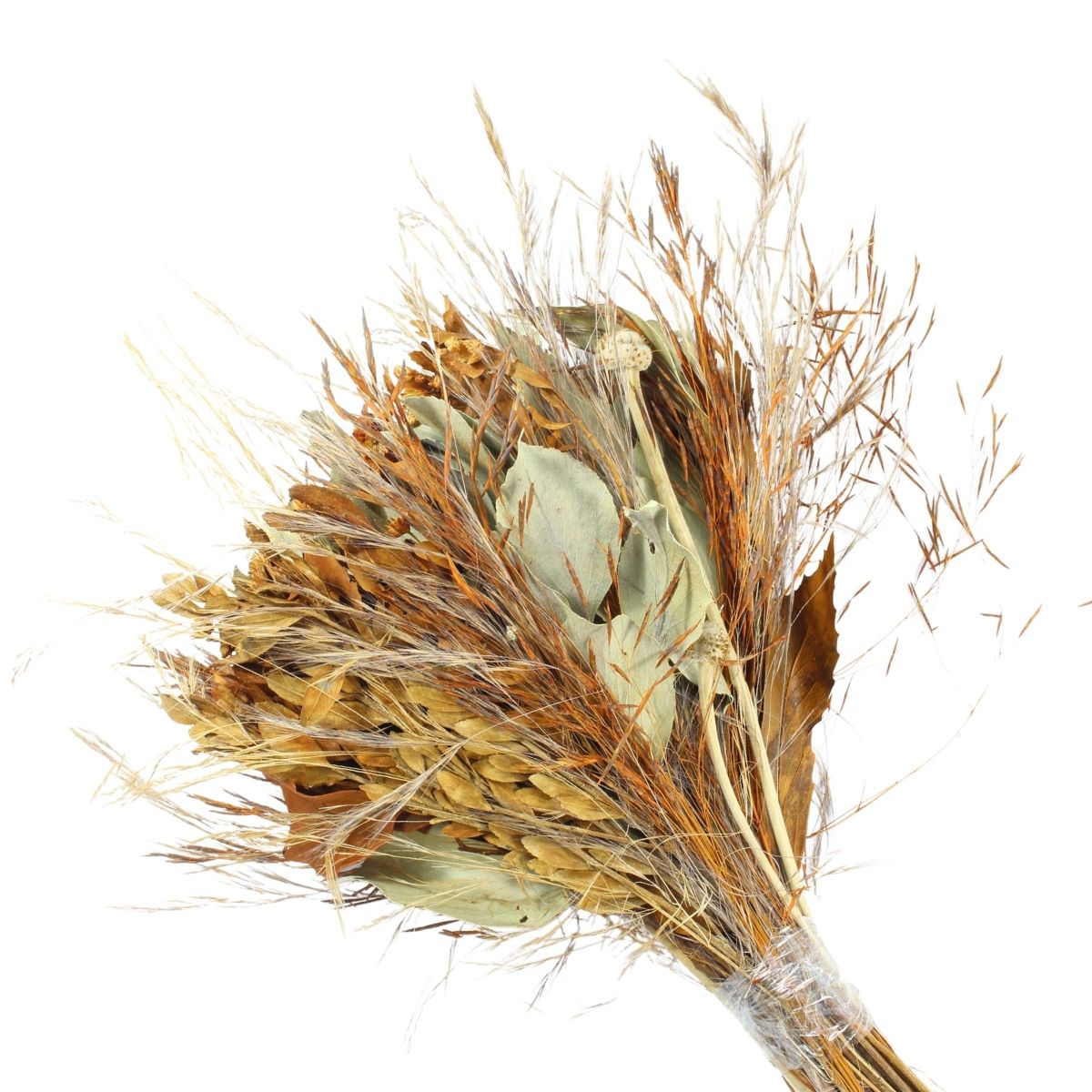 Planta Seca Buquê Variado Multicolorido 50cm