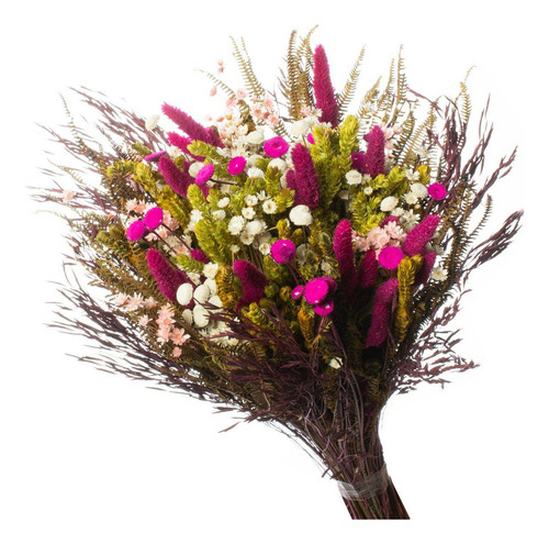 Buque de Flores Secas Rabo de Coelho Gato Pink Decorar