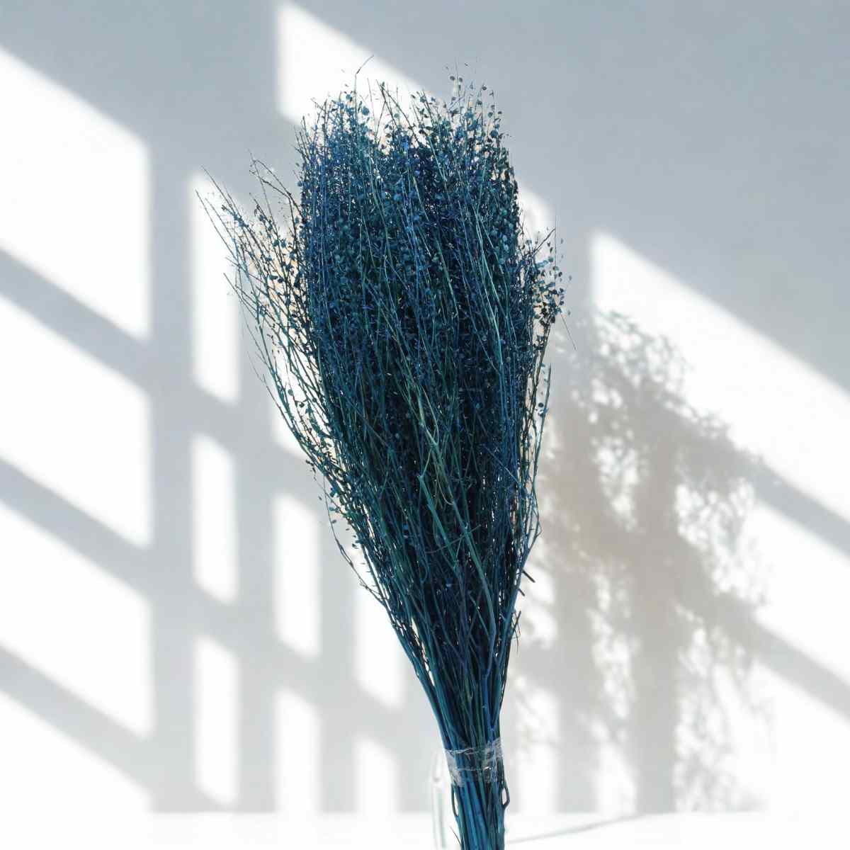 Sementinha Azul Flores Secas Decorar Presente